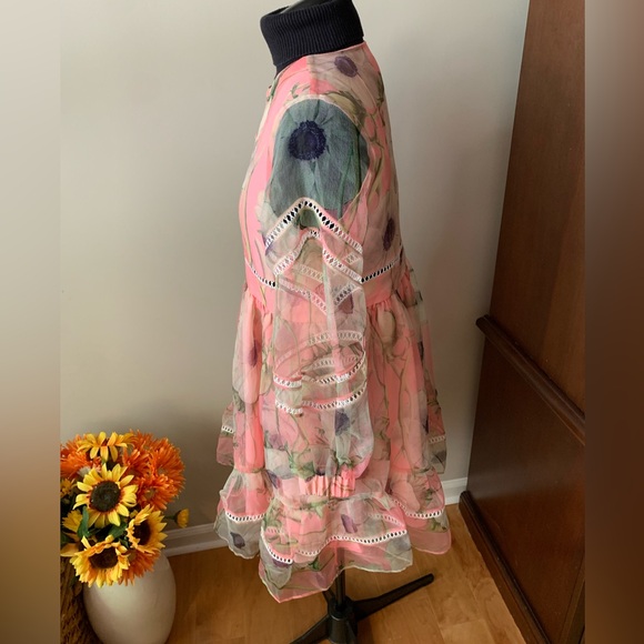 Cynthia Rowley Poppy Organza Peach Dress - Picture 6 of 15